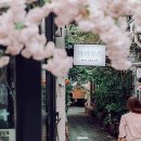 주식회사 밝은눈 이미지