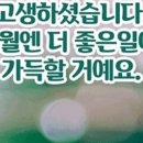 와일루
