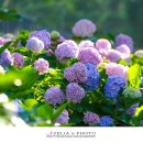 해송공원 이미지