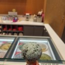 배스킨라빈스구미도량점 네이버블로그