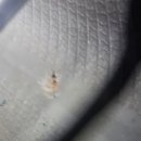 모라카센터 이미지