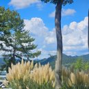 신라무인텔 이미지