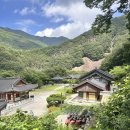 제385회 영동군 백화산 9월20일 (셋째일요일) 이미지