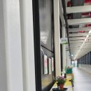 학성초등학교병설유치원 이미지