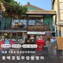 동백꽃필무렵 | 포항 구룡포 일본인 가옥거리 볼거리 까멜리아 동백꽃필무렵 촬영지