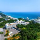토마토여행사주 이미지