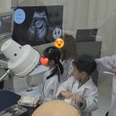 인천더드림병원 | 드림닥터 인천점 의사체험 후기/어린이 직업체험 추천