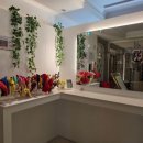 아줌마노래연습장 이미지