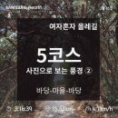 기동마을회관 | [제주도 올레길 5코스] 구간별 완주 후기② : 국립수산과학원~위미1리복지회관