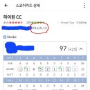 미샤스크린골프