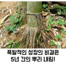 늘푸른파워점핑줄넘기&태권도장 | [마북동 연원마을, 마북동태권도]대한민국 1% 경희대푸른하늘태권도 ♥ "성장은 조용히,깊게 이루어지고...