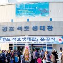 ㈜경포아쿠아리움 이미지