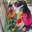 무봉유치원 이미지