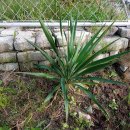 두릉농장 이미지