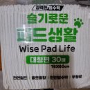 폴리파크 칠곡점 이미지