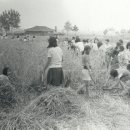 신촌초등학교 이미지