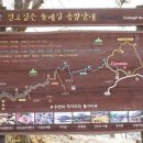 산수유 둘레길 이미지