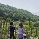 샤샤골프 | 제천 포레스트 리솜 해브나인 스파 준비물 & 푸드코트