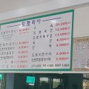 도토리아
