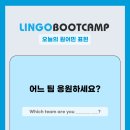 new 1일 1패턴 영어회화(입문) | 📝🏒"어느 팀 응원하세요?" 스포츠 경기볼 때 자주 사용하는 영어 표현