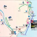 파도 한 송이 이미지