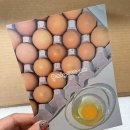 나린농장 | 나린뜰 계란/ 계란추천/ 달걀선물/ 구운란/ 30대선물/ 계란한판선물/ 명절선물/ 출산선물추천/ 부활절...