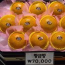 명품프로샵