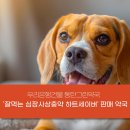 동호우리약국 이미지