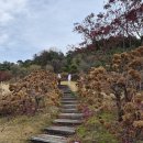 서이천골프클럽 | 청평 마이다스CC 가을 라운딩 후기: 경치, 코스, 서비스에 대하여