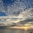 설도젓갈타운 이미지