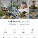 비마이포레스트