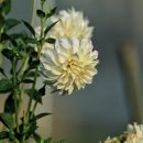 함줄공원 이미지