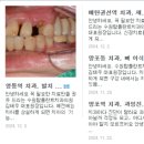 김태우치과의원 이미지