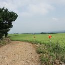 춘희목장 이미지