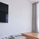 강릉멍릉도원애견펜션 | 강릉 애견펜션 멍릉도원 후기 인조잔디 운동장+전용 수영장 완비