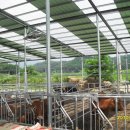 우사농장 이미지