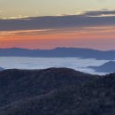 태백산한우 이미지