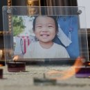 임실서초 이미지