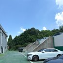 [김포 실내 테니스장 추천] 프로원테니스 후기 단독코트+샤워실 완비