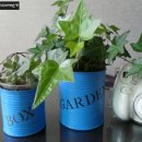 작은깡통 이미지