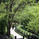 선암셀프 이미지