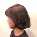 라미살롱 이미지