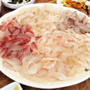 싱싱회타운 이미지