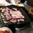 호돈 이미지