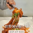 함평해보뻘낙지 이미지