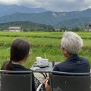 스테이오롯이