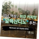 카페디노 이미지