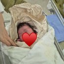 (주)응급일이구 | 청화병원 출산 후기 - 12시간 진통 후 응급 제왕 절개