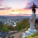 지리산 뻐꾹새 이미지