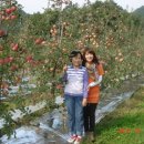 보람 농원 이미지